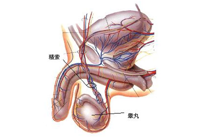 新乡阳光医院