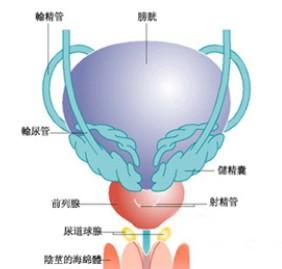 新乡阳光医院